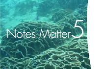 Notes Matter 1